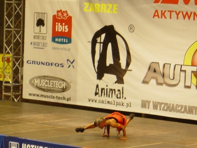EKIPA PACO NA PUCHARZE POLSKI W KULTURYSTYCE I FITNESS