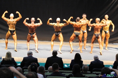 MP Eliminacje Kulturystyka Klasyczna Mężczyzn 171/175/180/+180 cm Katowice 2012