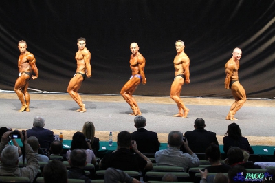 MP Kulturystyka mężczyzn 70 kg Katowice 2012