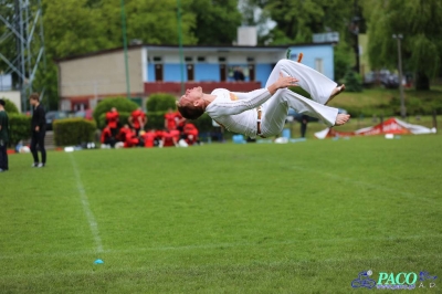 PLFA I: Tytani Lublin - Mustangs Płock 13:12