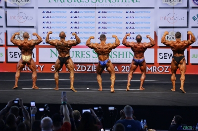 Kulturystyka weteranów 40-44 lat - MP Mrozy 2017_12