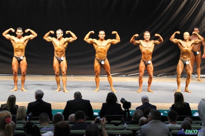 MP Eliminacje Kulturystyka Klasyczna Mężczyzn 171/175/180/+180 cm Katowice 2012