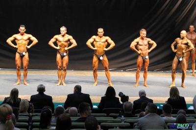 MP Eliminacje Kulturystyka Klasyczna Mężczyzn 171/175/180/+180 cm Katowice 2012