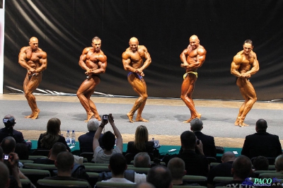 MP Finał Kulturystyka Mężczyzn 100 kg Katowice 2012