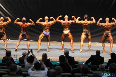 MP Finał Kulturystyka Mężczyzn 100 kg Katowice 2012