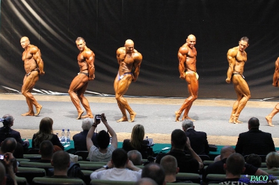 MP Finał Kulturystyka Mężczyzn 100 kg Katowice 2012