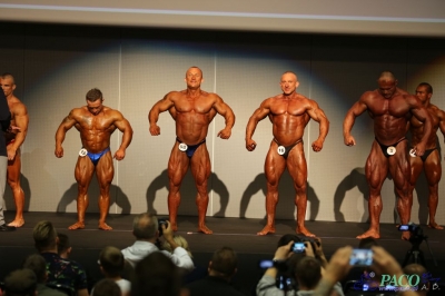 Kulturystyka mężczyzn - wszechwag Puchar Polski Kielce 2013
