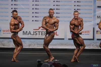 Kulturystyka klasyczna mężczyzn - wszechkategoria, PP w Kulturystyce i Fitness, Mińsk Mazowiecki 15-16.10.2016r._40
