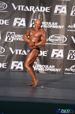 Kulturystyka mężczyzn 80 kg Debiuty 2012