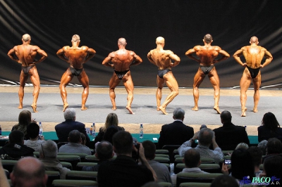 MP Kulturystyka Klasyczna mężczyzn 175 cm Katowice 2012