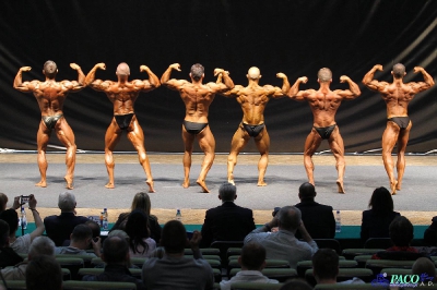MP Kulturystyka Klasyczna mężczyzn 180 cm Katowice 2012