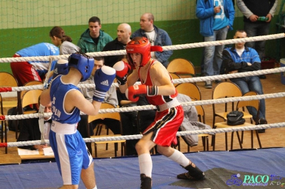 MOL 2013: Kategoria juniorów