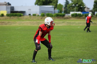 PLFA I: Tytani Lublin - Mustangs Płock 13:12