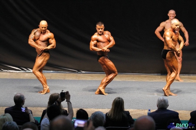 MP Eliminacje Kulturystyka Mężczyzn 80 kg Katowice 2012