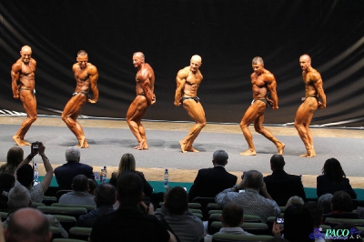 MP Kulturystyka Klasyczna mężczyzn 175 cm Katowice 2012